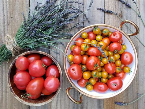 Growing Organic Tomatoes How To Plant Feed Prune And Grow Tomato