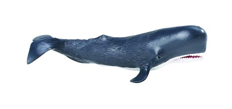 Safari Ltd 2755 Sperm Whale Animal Figures At Spielzeug Guenstigde