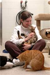 Photos of Feline Kidney Transplant Facilities