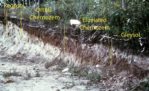 Soil Classification And Distribution Digging Into Canadian Soils