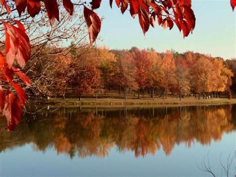 100 Best Southern Indiana Nature And Scenery Images On Pinterest