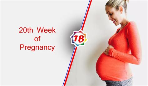Twentieth Week Of Pregnancy What Are The Symptoms Of 20th Week Of