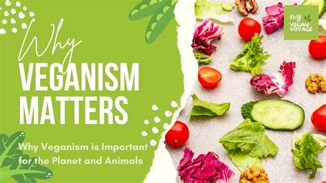 Why Veganism Matters Important For The Planet Animals And Yourself