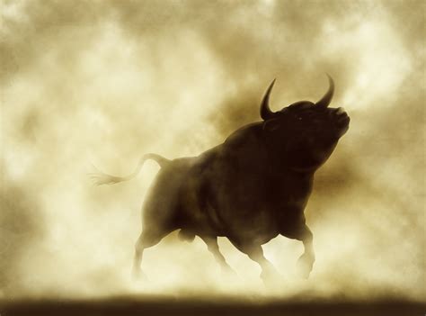 Do Yourself A Favor And Watch This Viral Video Of A Charging Bull