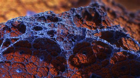 Cgi Photo Manipulation 3d Fractal Wallpapers Hd