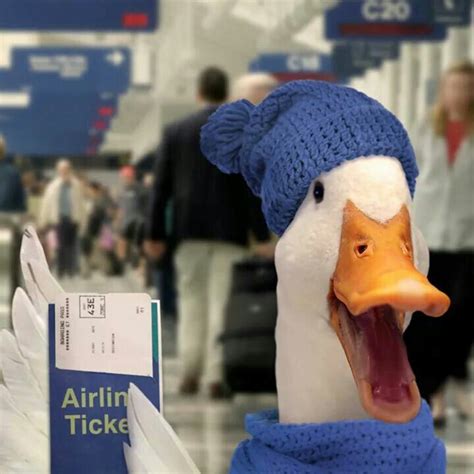 Aflac Duck On His Way To Nyc For The Macys Thanksgiving Day Parade