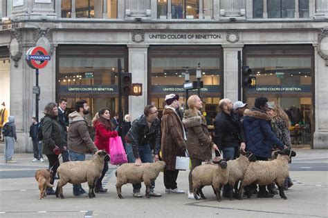 Wake Up Sheeple Lyst Calls On Shoppers To Raise The Baa On Black Friday