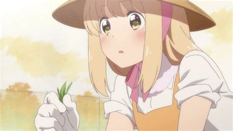 Stream Kase San And Morning Glories On Hidive