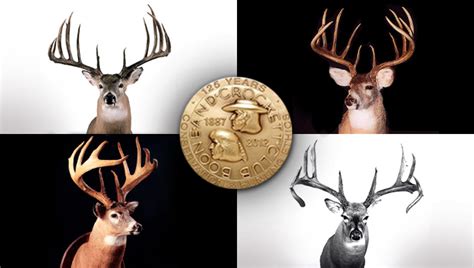 Bandcs Monster Bucks 20 Biggest Non Typicals Of All Time North