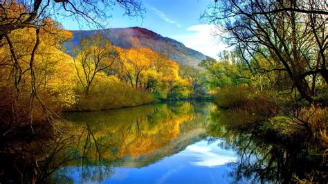 Fall River Peaceful Water Willow With Yellow Leaves Blue