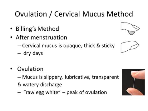 Thick Cervical Mucus Ovulation