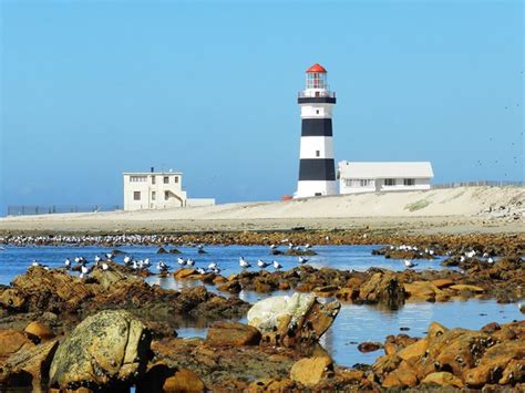 Cape Recife Lighthouse Tour And 4x4 Nature Reserve Game Drive With Alan