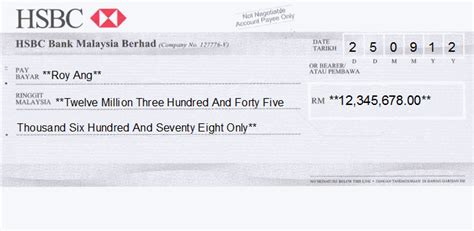 Professional Cheque Printing Examples