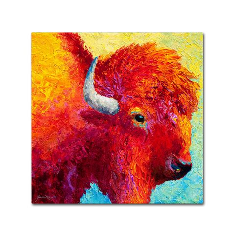 Trademark Fine Art Bison Head Iv Canvas Art By Marion Rose Walmart