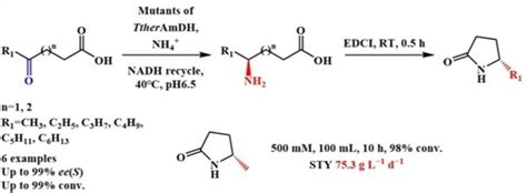 Stereoselective Synthesis Of Structurally Diverse S‐lactams Via An