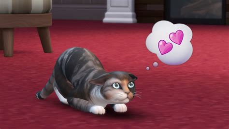 Sims 4 Cats And Dogs Neue Haustier Erweiterung Im Trailer