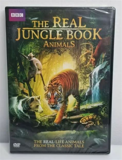 The Real Jungle Book Animals Dvd Bbc New Wild Safari India Kahna