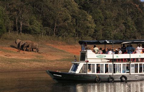 Periyar National Park Kerala Essential Travel Guide