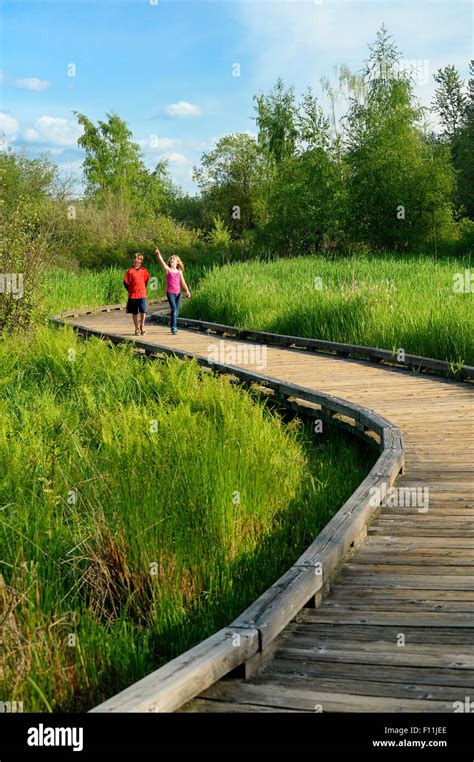 Children Walking On Wooden Walkway In Wetland Marsh Stock Photo Alamy