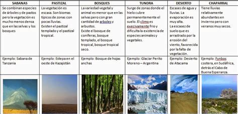 Cuadro Comparativo Sobre Ecosistema Y Bioma Kulturaupice