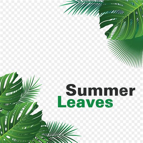summer tropical leaves vector hd images summer tropical leaves hanging summer leaves tropical
