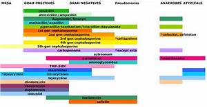 Usmle Notes Usmle Antibiotics Chart