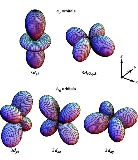 2 Angular Distribution Of The Electron Density Of The D Orbitals In An