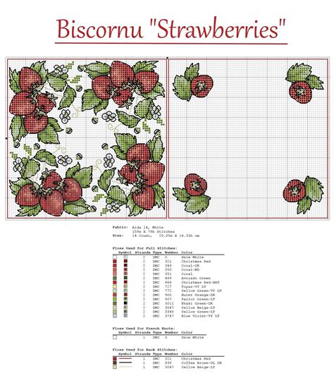 Cross Stitch Biscornu Strawberries Bordado Puntos