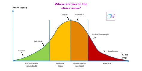 Adrenal Stress Curve E1488807217133 Sheena Hendon Holistic Health