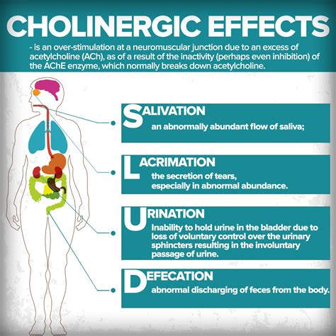 Effects Of Cholinergic Pharmacology Nursing Nursing School Survival