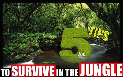 5 Tips On How To Survive In The Jungle Hubpages
