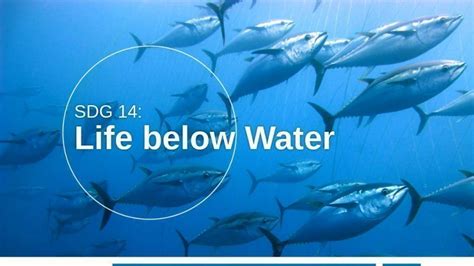 Petition · Life Below Water Why It Is Matter Malaysia ·