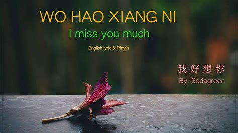 Wo Hao Xiang Ni Lyric I Miss You Much Pinyin And English Learn