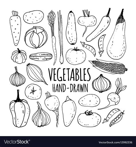 Set Hand Drawn Vegetables Royalty Free Vector Image