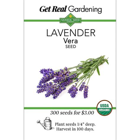 Lavender Vera Seeds Organic Good Grow Usa