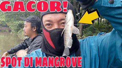 Mancing Di Mangrove Youtube