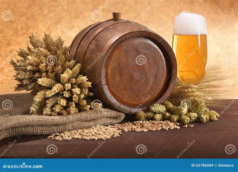 Beer Ingredients Stock Photo Image Of Barley Garden 62786584