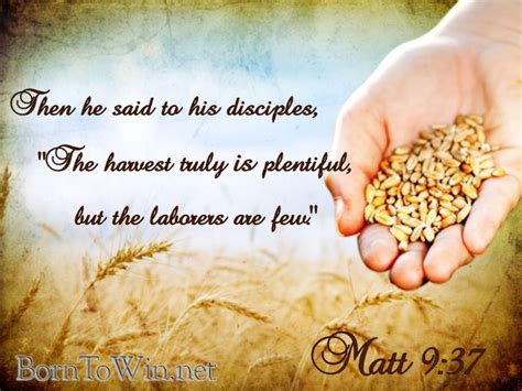 Matthew 937 Nkjv 37 Then He Said To His Disciples “the Harvest