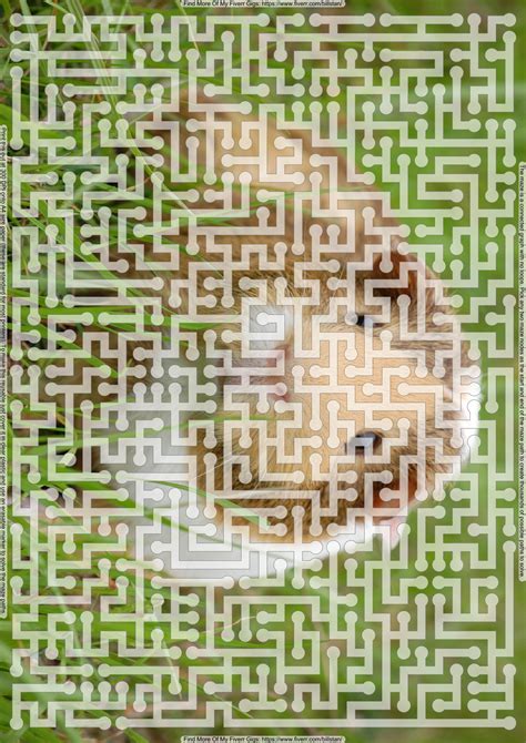 Simply send your photo to our team, select a format for your image, then leave the rest to us. Turn your digital photos into printable image mazes ...