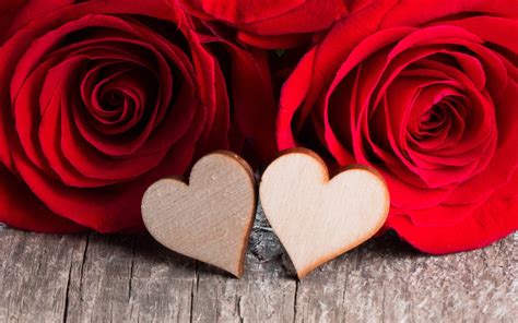 Wallpaper Two Love Hearts Red Roses 2560x1600 Hd Picture Image