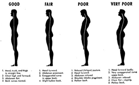 Improving Your Posture The Art Of Manliness