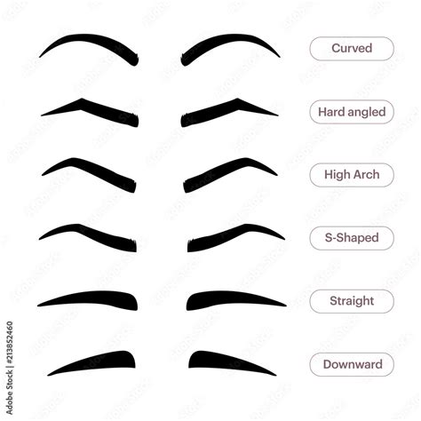 Eyebrow Shapes Various Types Of Eyebrows Classic Type And Other