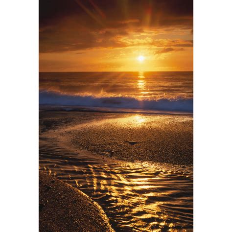 Savage Beach Sunset Printed Vinyl Backdrop 5x7 P Vl836 Bandh