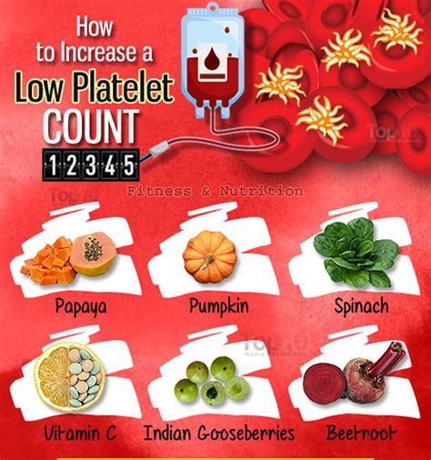 Natural Ways To Increase Platelet Count During Dengue Low White Blood