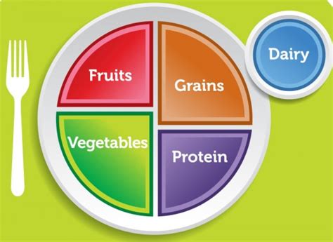Eatwell Plate Guide To Healthy Eating Food Safety Works
