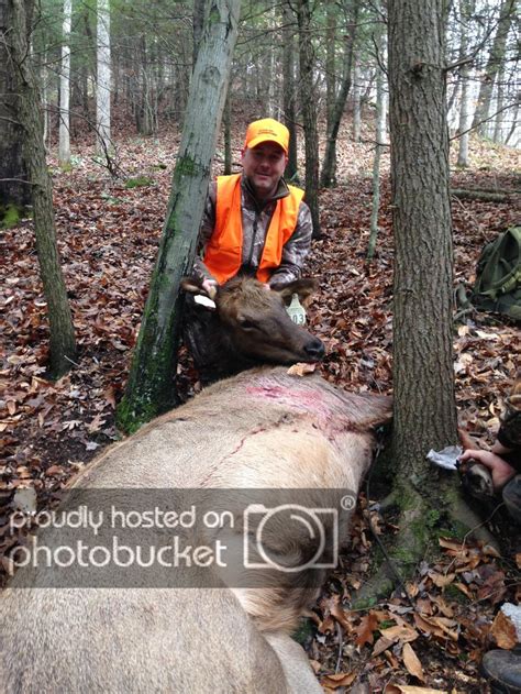 Kentucky Cow Elk Hunt Dec 2014 Hunt Talk