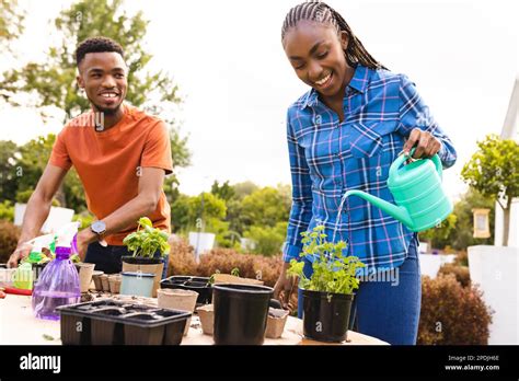 Happy African American Couple Watering Plants In Garden Stock Photo Alamy