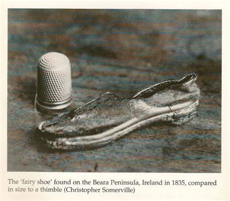 It was, by the way, on the beara peninsula in ireland that this little