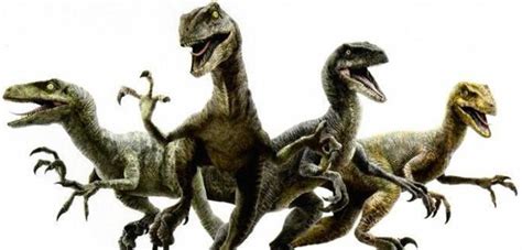 Chris Pratt Names His Raptors In New Jurassic World Tv Spot