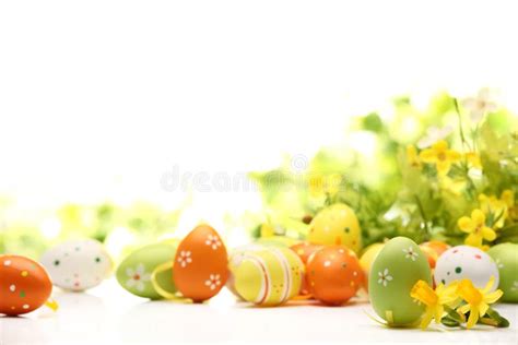 Art Easter Eggs And Yellow Spring Flower On White Background Stock